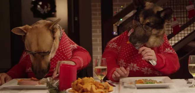 (VIDEO) Así sería la cena navideña entre 13 perros y un gato