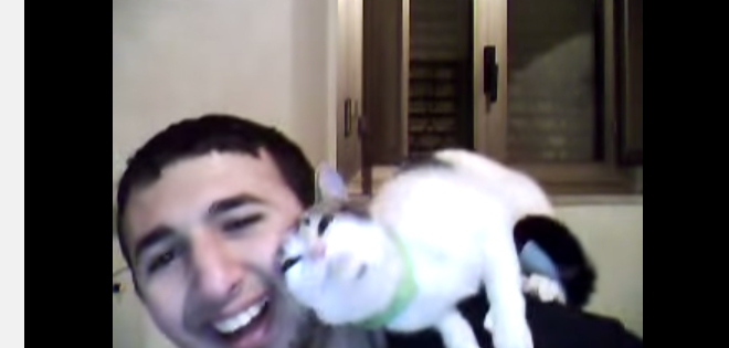 VIDEO: La gatita que está enamorada de su dueño y no teme mostrarlo