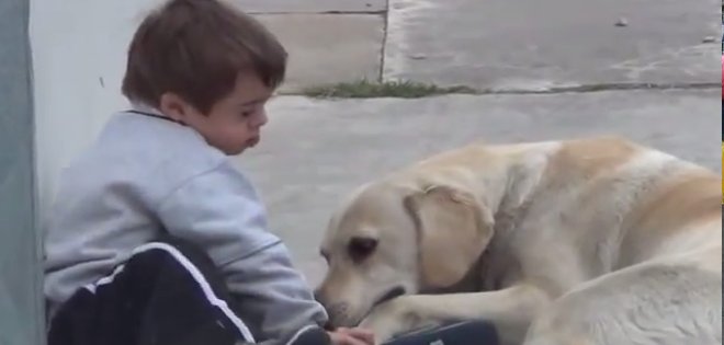 El video de un niño con Síndrome de Down y su perra Himalaya que enternece Internet