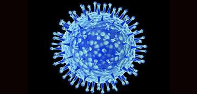 Científicos dicen haber dado un importante paso para la vacuna universal de la gripe