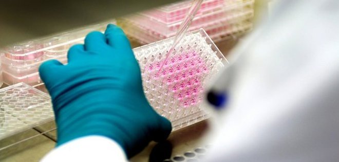 Médicos del Mundo presenta recurso para rebajar precio de tratamiento contra hepatitis C