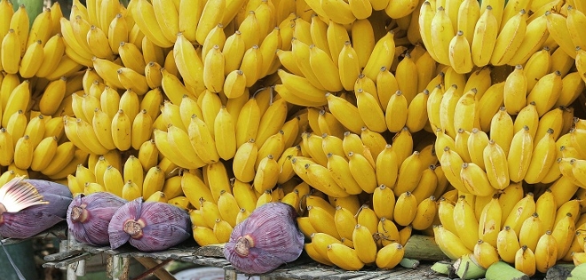 Ecuador consigue cifras récord en venta de banano