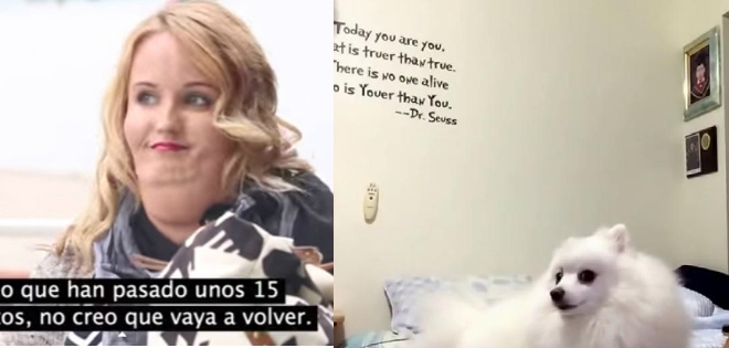 #LoMasVisto te trae un raro experimento social y un perrito orgulloso