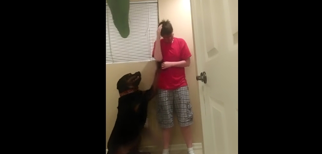 Mascota consoló a una joven con síndrome de Asperger luego de crisis