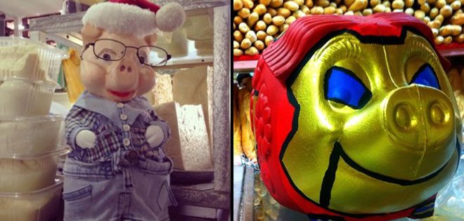 Los divertidos disfraces de los cochinitos de Navidad en Venezuela
