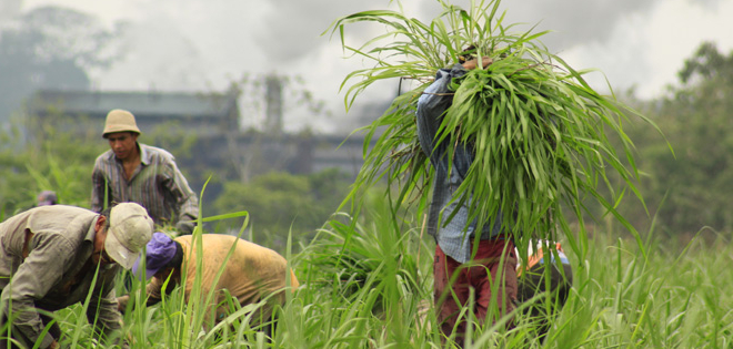 Proyecto de ley de tierras está listo para segundo debate