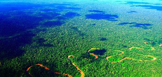 Asambleístas oficiales descartan la consulta popular sobre Yasuní ITT