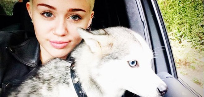 Murió Floyd, el perro de Miley Cyrus