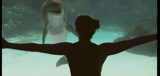 Un delfín disfruta ver a una bailarina hacer acrobacias