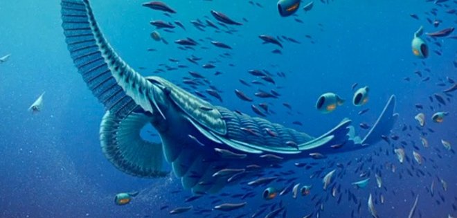 VIDEO: Muestran fósiles de extraños gigantes marinos