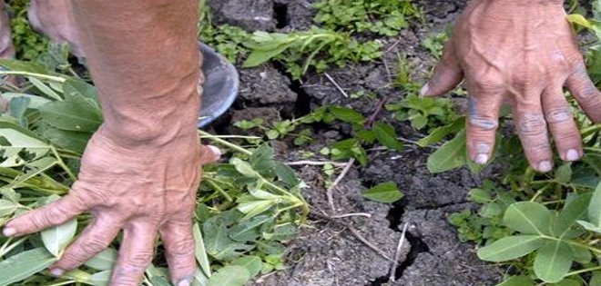 Primeros estragos por sequía en la Costa ecuatoriana