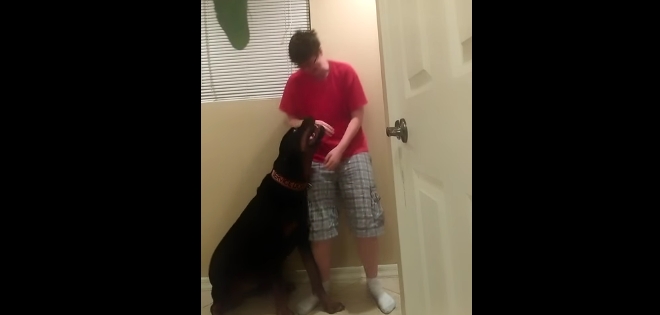 Mascota consoló a una joven con síndrome de Asperger luego de crisis