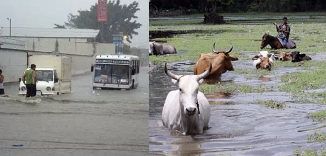 Inamhi no descarta posible fenómeno de &#039;El Niño&#039; en Ecuador