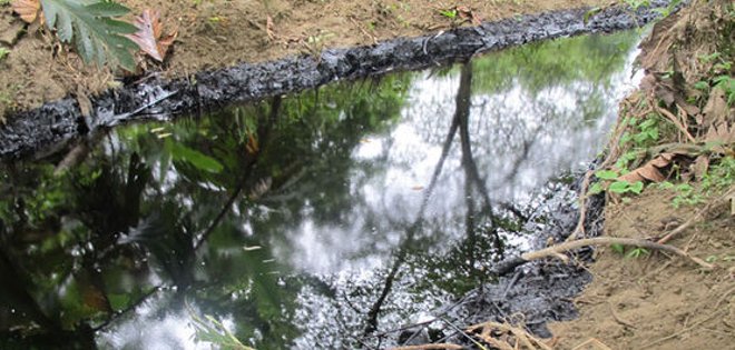 Denuncian derrame de petróleo en comunidad de Shushufundi