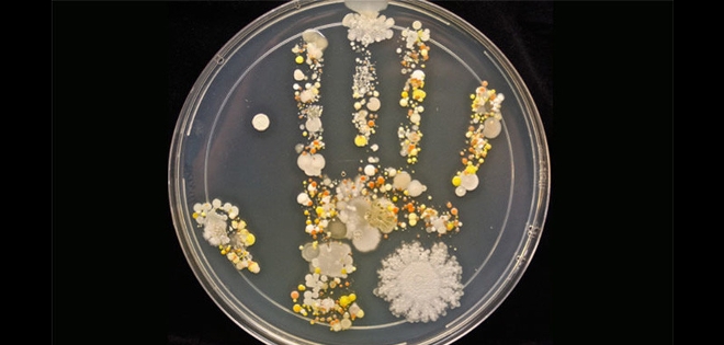 La desagradable imagen de las bacterias de una mano sin lavar