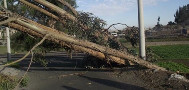 Cambios climáticos más evidentes por aparente llegada de &#039;El Niño&#039;