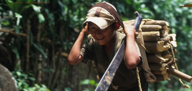 Más de 300.000 niños y adolescentes trabajan en Ecuador