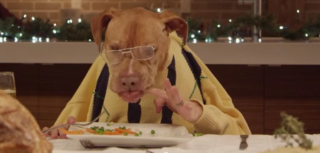 (VIDEO) Así sería la cena navideña entre 13 perros y un gato