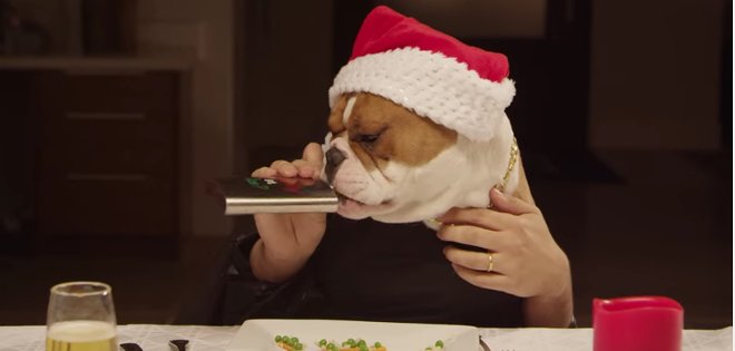 (VIDEO) Así sería la cena navideña entre 13 perros y un gato