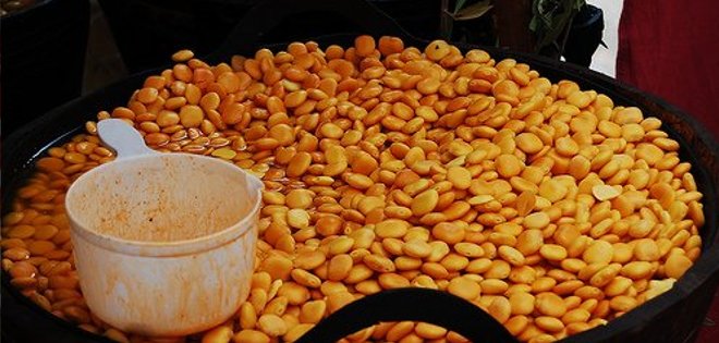 El chocho, una legumbre para el desarrollo en Ecuador