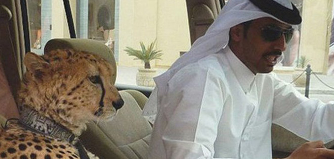 Las excéntricas costumbres de los millonarios de Dubai, en fotos