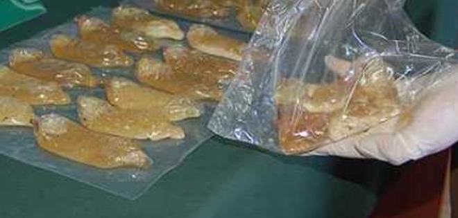 Decomisan media tonelada de droga líquida en Santa Elena