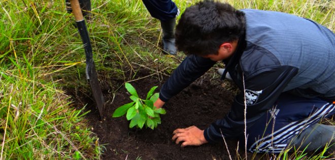 Ecuador logra por primera vez reforestar el triple de lo que deforesta