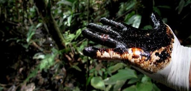 La OPEP apoya a Ecuador en disputa con Chevron