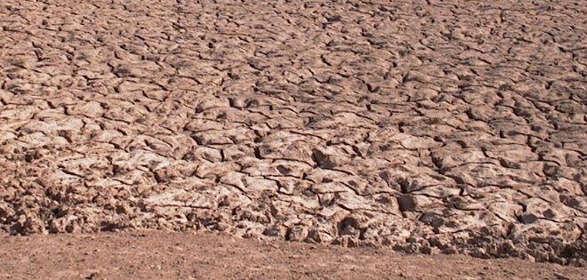 $ 40.000 millones anuales le cuesta al planeta la degradación del suelo