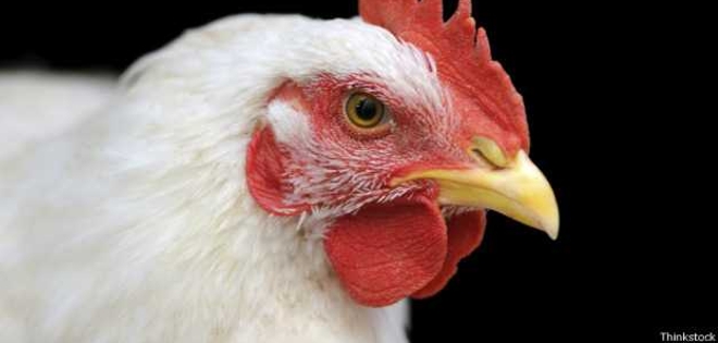 ¿Qué tan fácil es cambiar de hábitos y volverse madrugador?