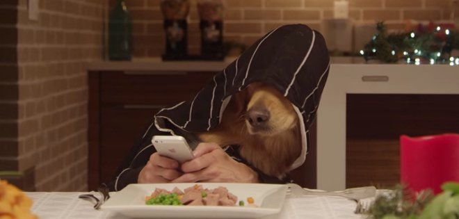 (VIDEO) Así sería la cena navideña entre 13 perros y un gato