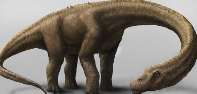 Gigante que &quot;no temía a nada&quot;: descubren un dinosaurio que pesaba más que un Boeing 737