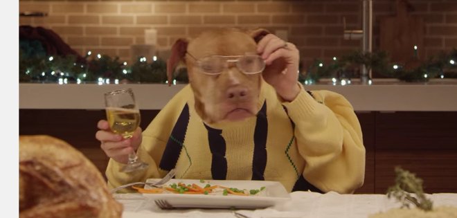 (VIDEO) Así sería la cena navideña entre 13 perros y un gato