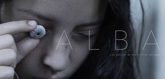 Once cintas ecuatorianas se estrenarán en 2016