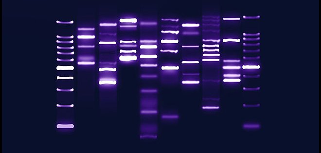 Los regalos más 'científicos' para dar en Navidad