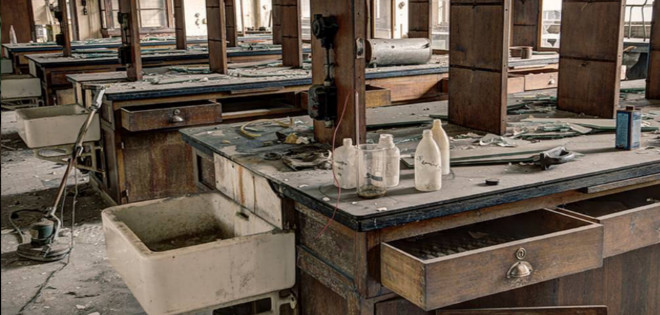 Así sería el mundo tras la extinción de la raza humana