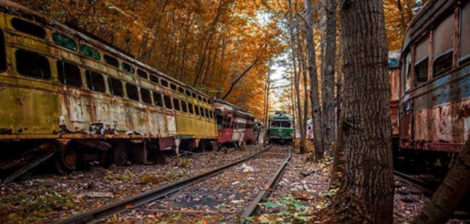 Así sería el mundo tras la extinción de la raza humana