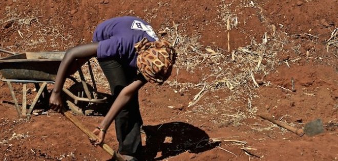 Cambio climático amenaza la seguridad alimentaria mundial, alertan científicos