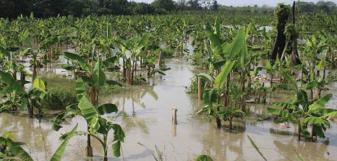Alerta naranja por invierno se mantendrá hasta mayo, según autoridades