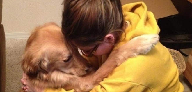 Los perros escuchan nuestras palabras y cómo las decimos