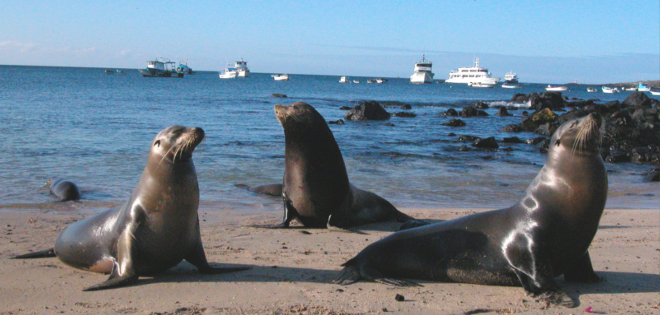 Lluvias en las Islas Galápagos no han afectado la actividad turística