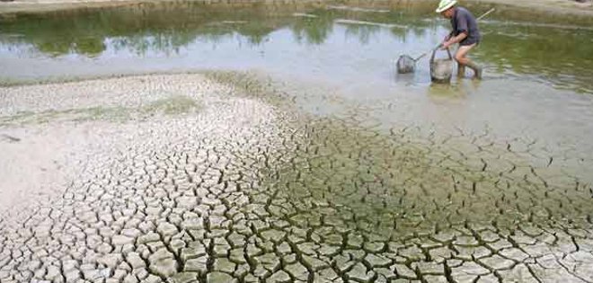 Cambio climático amenaza la seguridad alimentaria mundial, alertan científicos