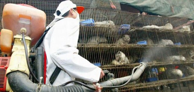 Nuevos casos de Síndrome Respiratorio del Medio Oriente en dos países