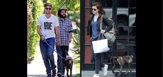 Kristen Stewart y Robert Pattinson pelean por custodia de sus perros