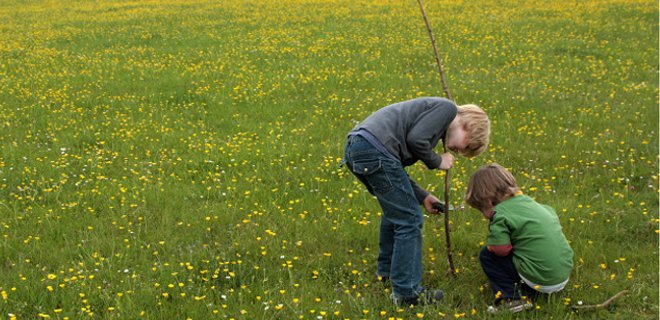 Cinco ideas para que los niños urbanos se conecten con la naturaleza