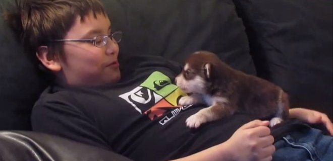 Niño enseña a aullar a su cachorro de apenas 20 días de nacido
