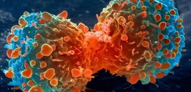 Consiguen activar el sistema inmune contra el cáncer