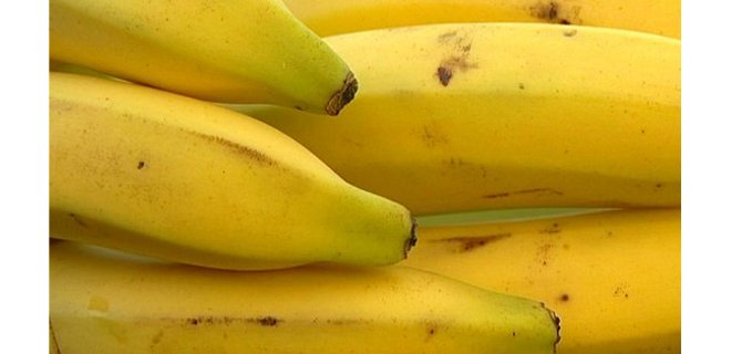 Preocupación en el sector bananero mundial por regreso del &quot;mal de Panamá&quot;