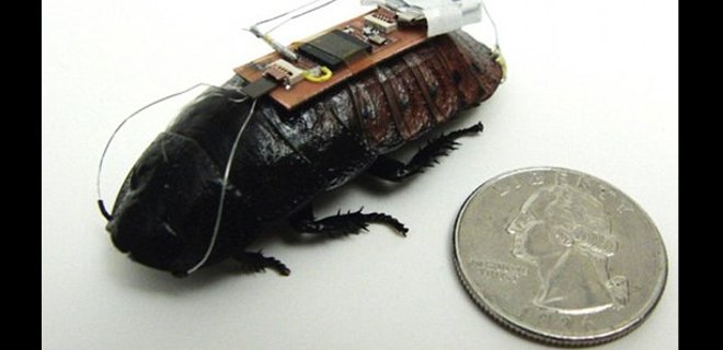 Desarrollan software que usa insectos robots para recabar información