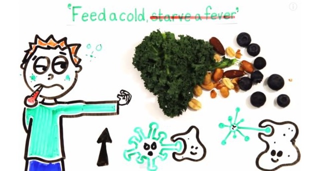 (VIDEO) Conoce los alimentos efectivos para curar la gripe